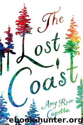 The Lost Coast by Amy Rose Capetta