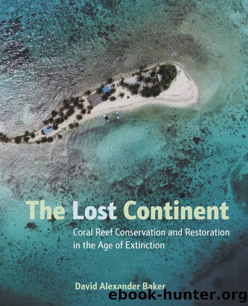 The Lost Continent by David Alexander Baker