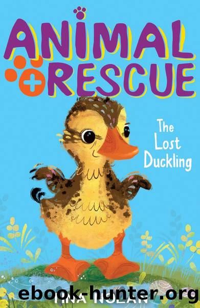 The Lost Duckling by Tina Nolan