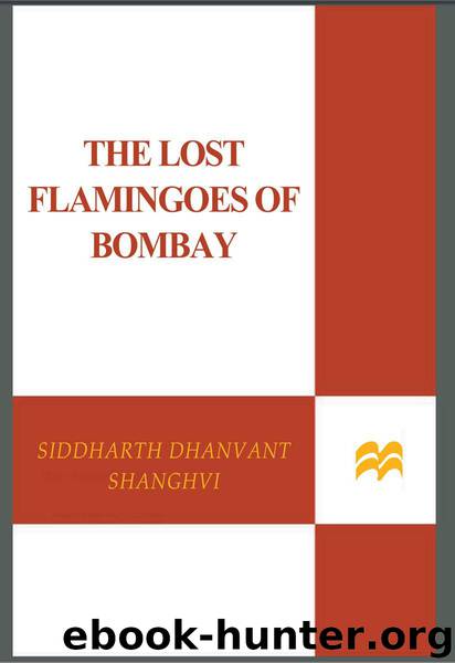 The Lost Flamingoes of Bombay by Siddharth Dhanvant Shanghvi