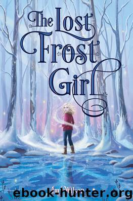 The Lost Frost Girl by Amy Wilson