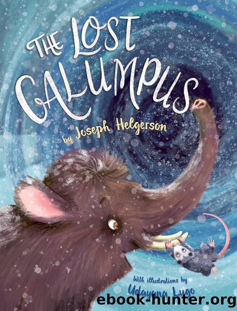 The Lost Galumpus by Joseph Helgerson