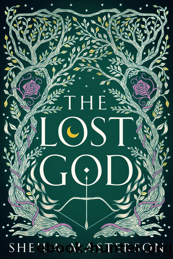 The Lost God by Sheila Masterson