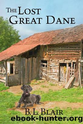 The Lost Great Dane by B. L. Blair