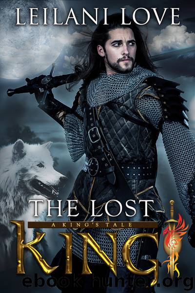 The Lost King (A King's Tale Book 2) by Leilani Love