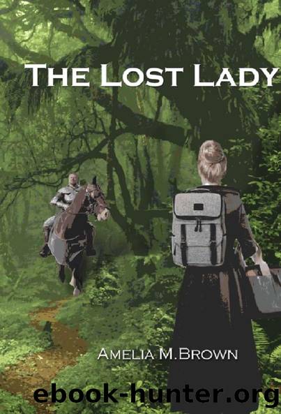 The Lost Lady by Amelia Brown