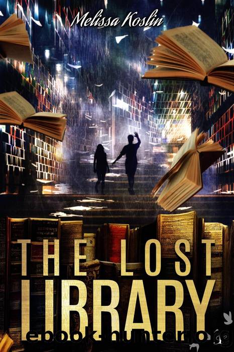 The Lost Library by Melissa Koslin
