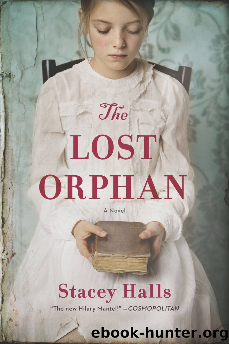 The Lost Orphan by Stacey Halls