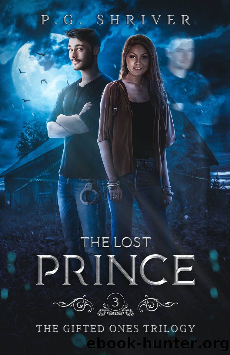 The Lost Prince by P. G. Shriver