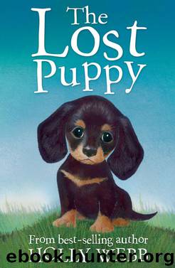 The Lost Puppy by Holly Webb