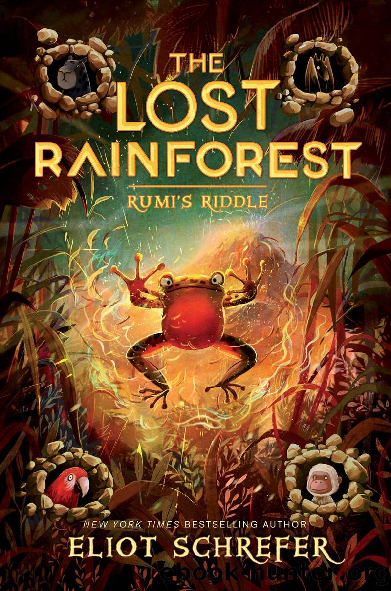 The Lost Rainforest #3: Rumiâs Riddle by Eliot Schrefer