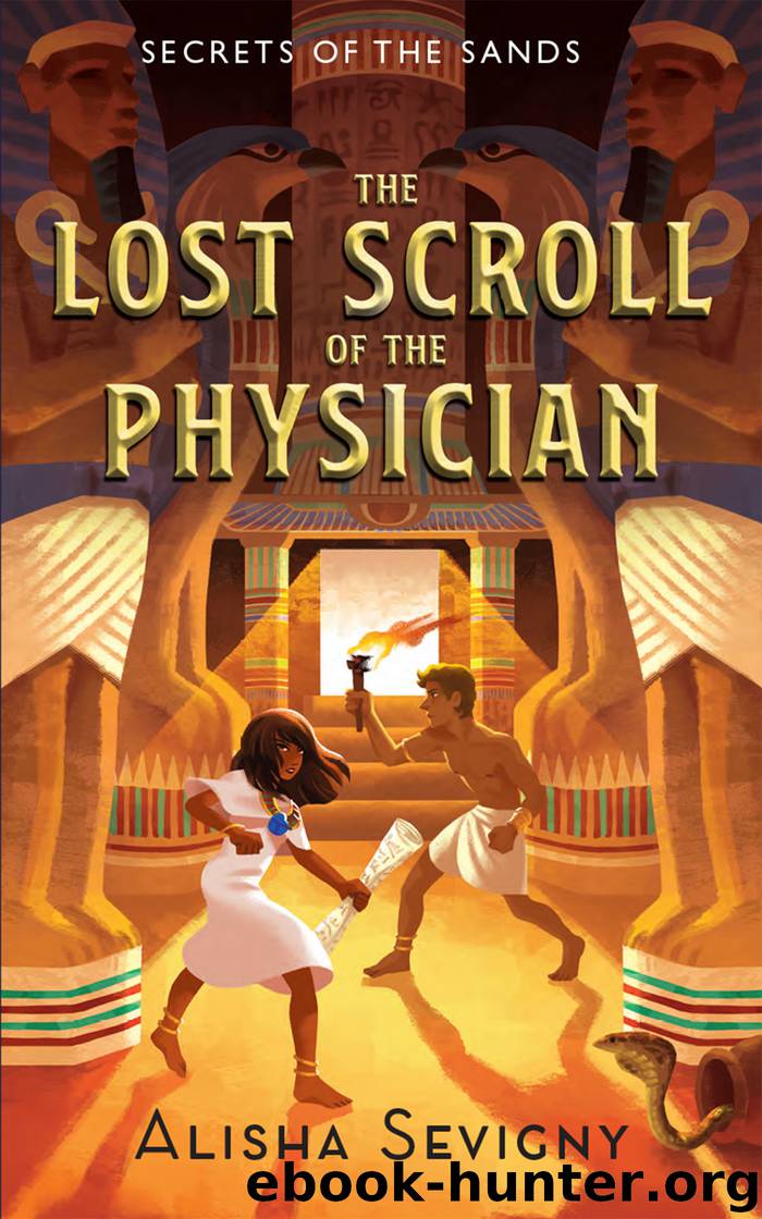 The Lost Scroll of the Physician by Alisha Sevigny