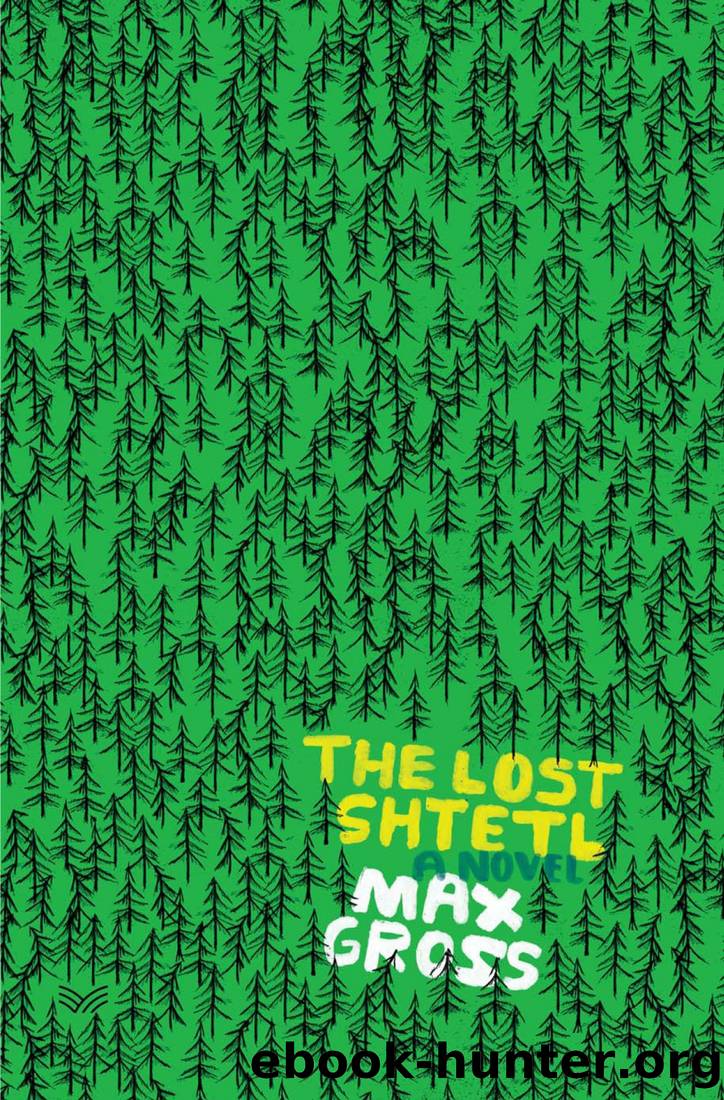 The Lost Shtetl by Max Gross