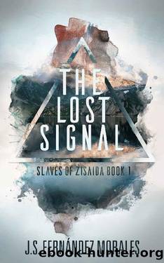The Lost Signal by J S Fernandez Morales