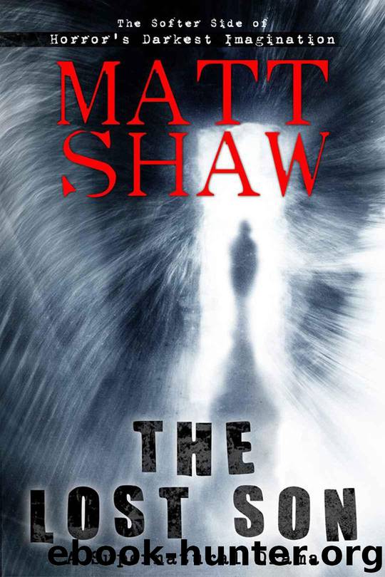 The Lost Son: A Supernatural Novel of Suspense by Shaw Matt