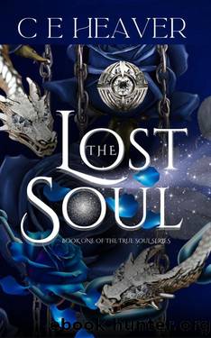 The Lost Soul by C.E HEAVER