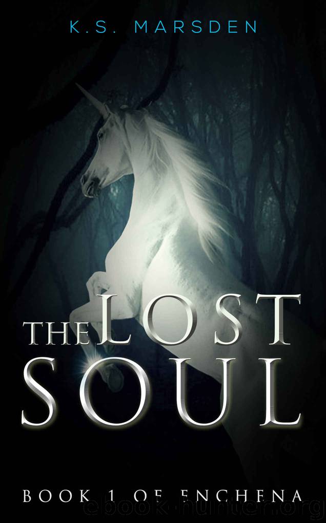 The Lost Soul by K S Marsden