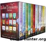 The Lost Trinket Series by Sherrie Lea Morgan