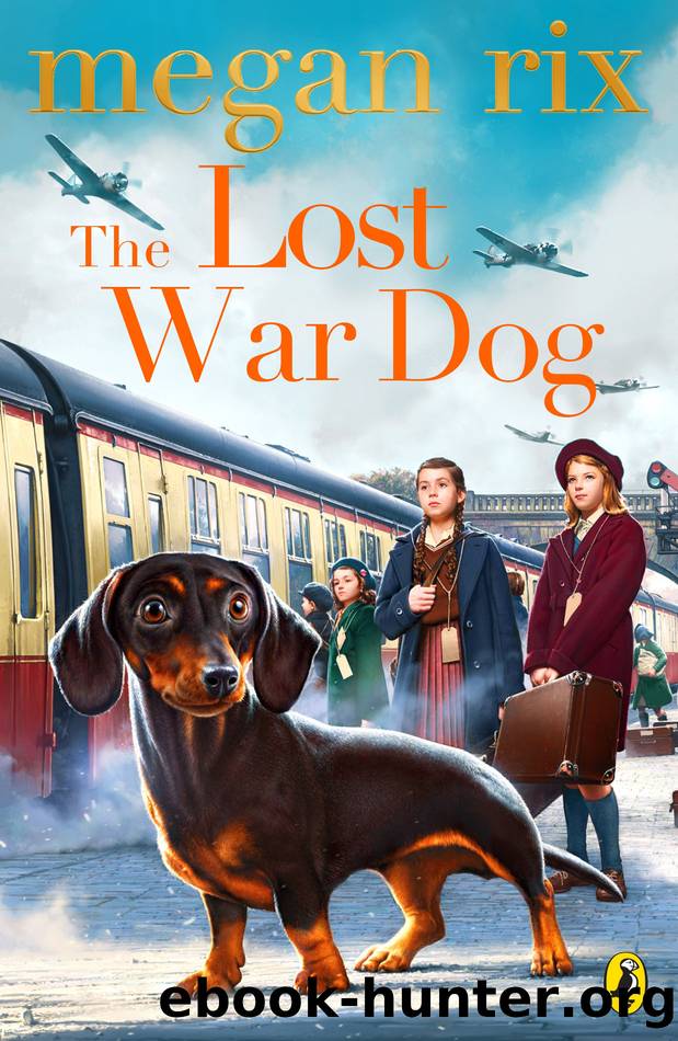 The Lost War Dog by Megan Rix