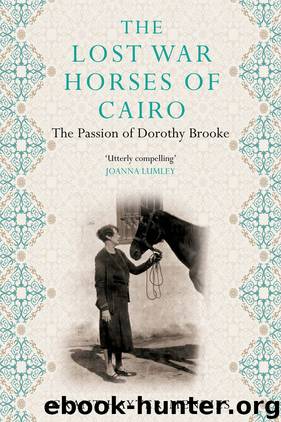 The Lost War Horses of Cairo by Grant Hayter-Menzies