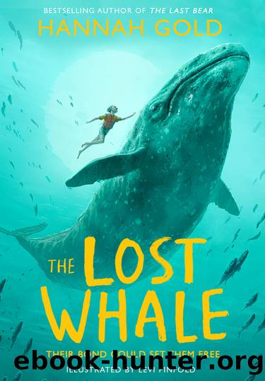 The Lost Whale by Hannah Gold