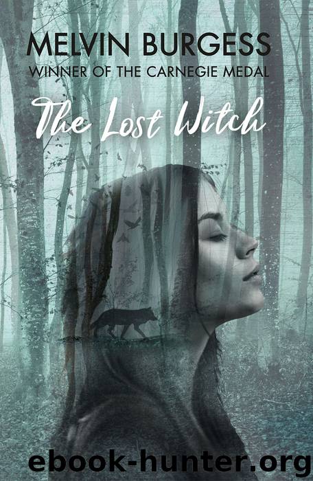 The Lost Witch by Melvin Burgess