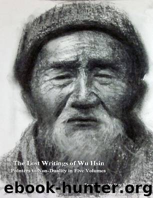 The Lost Writings of Wu Hsin: Pointers to Non Duality in Five Volumes by Roy Melvyn