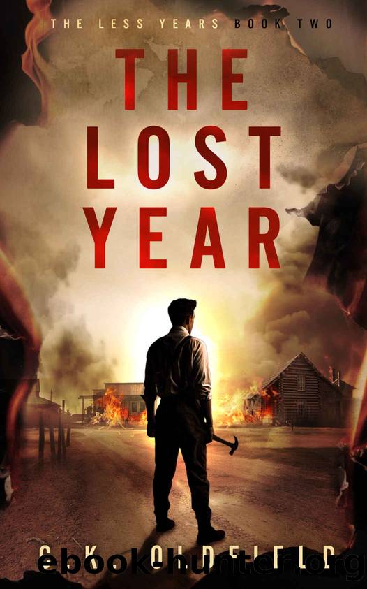 The Lost Year: A Post-Apocalyptic Survival Story by Christopher Oldfield