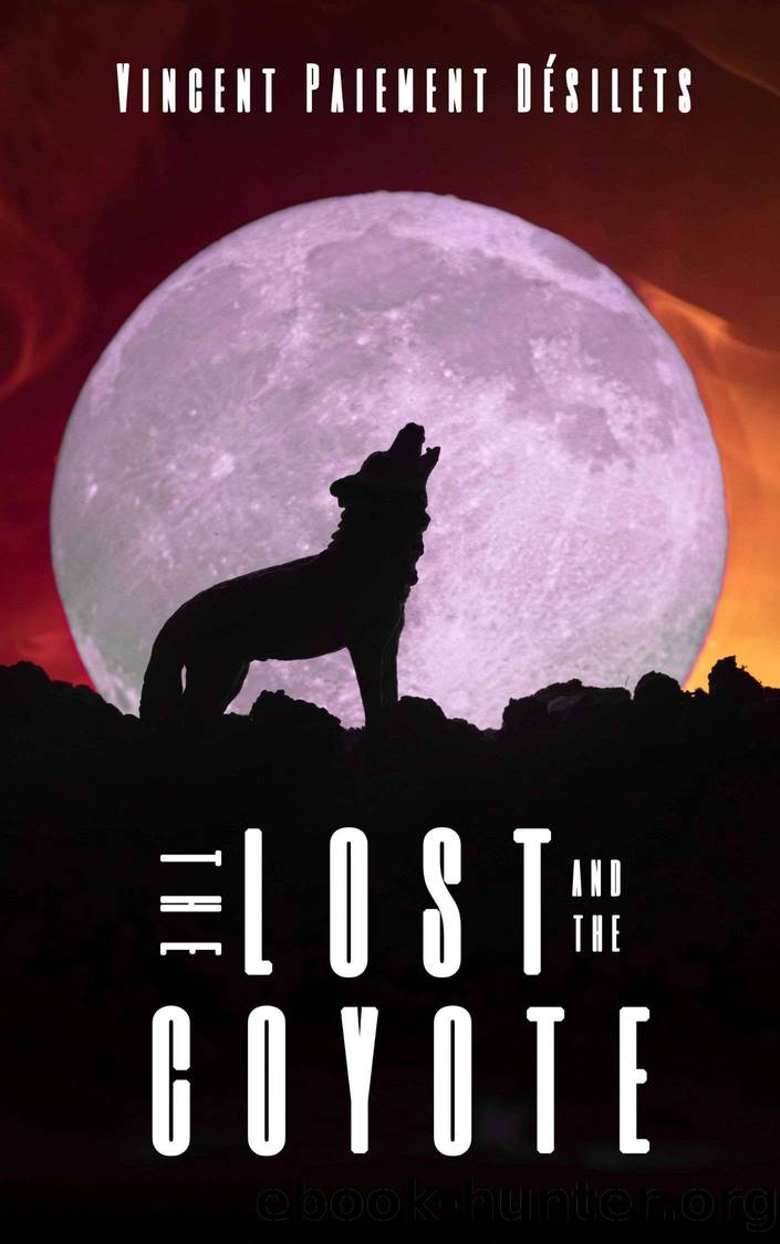 The Lost and the Coyote by Vincent Paiement Désilets