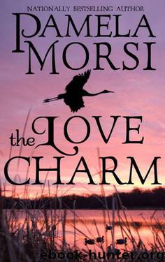 The Love Charm by Pamela Morsi