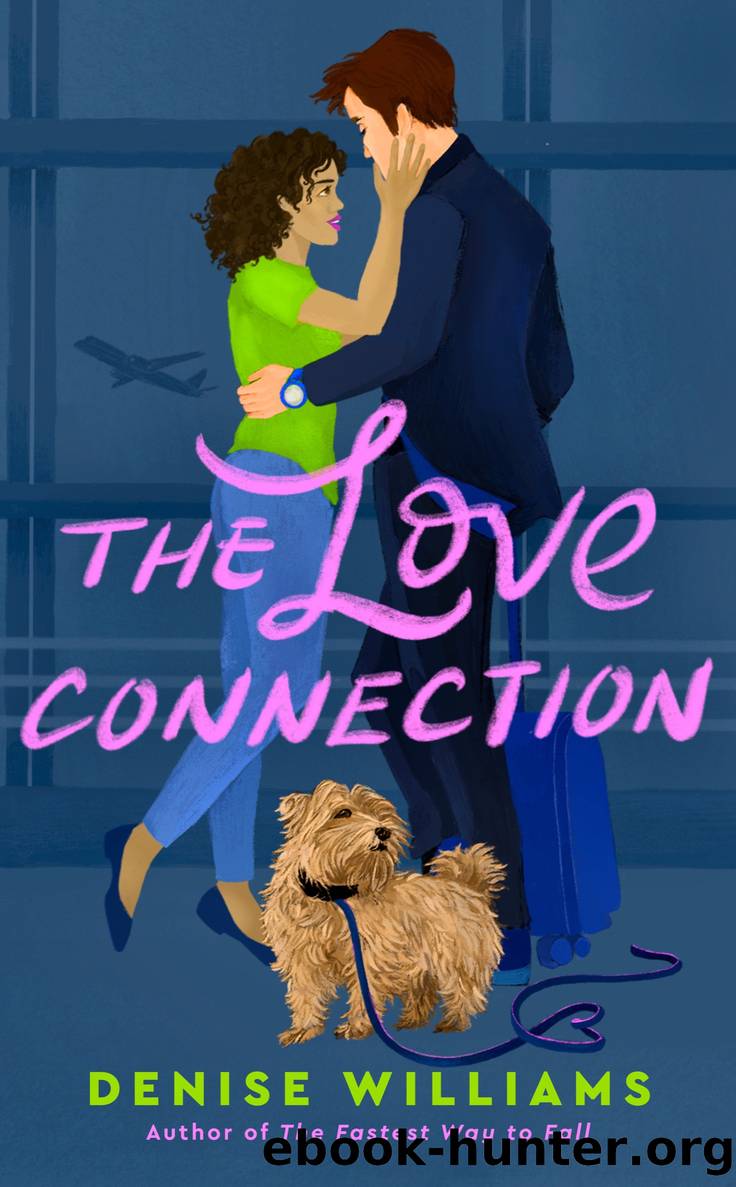 The Love Connection by Denise Williams