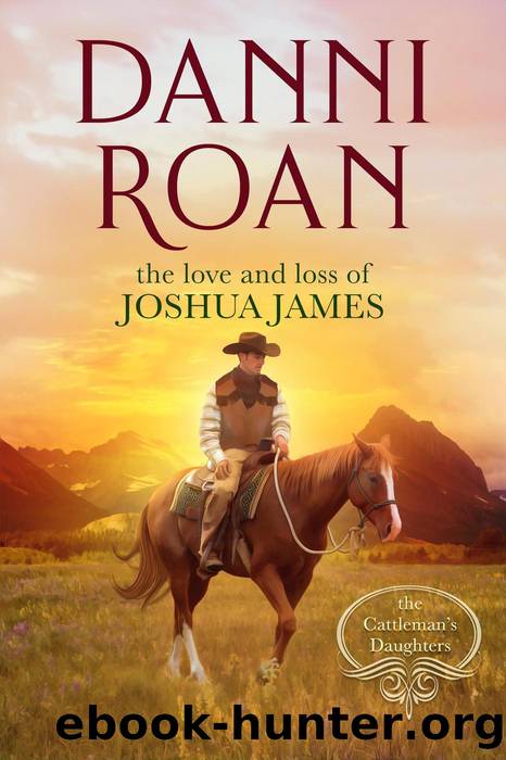 The Love and Loss of Joshua James by Danni Roan
