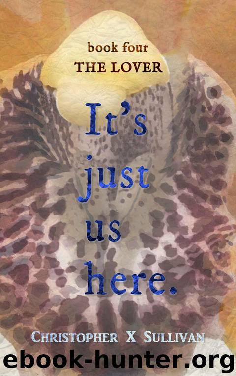 The Lover (It's Just Us Here Book 4) by Sullivan Christopher X