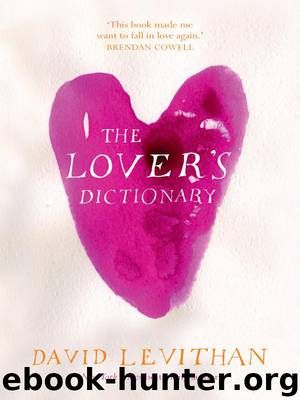 The Lover's Dictionary by David Levithan