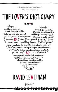 The Lover's Dictionary_A Novel by David Levithan