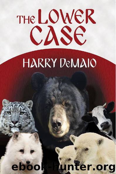 The Lower Case by Harry DeMaio