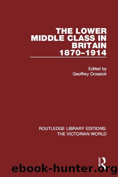 The Lower Middle Class in Britain 1870-1914 by Geoffrey Crossick