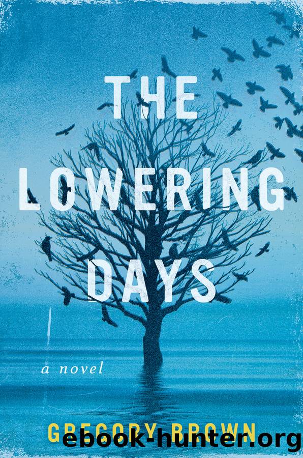 The Lowering Days by Gregory Brown