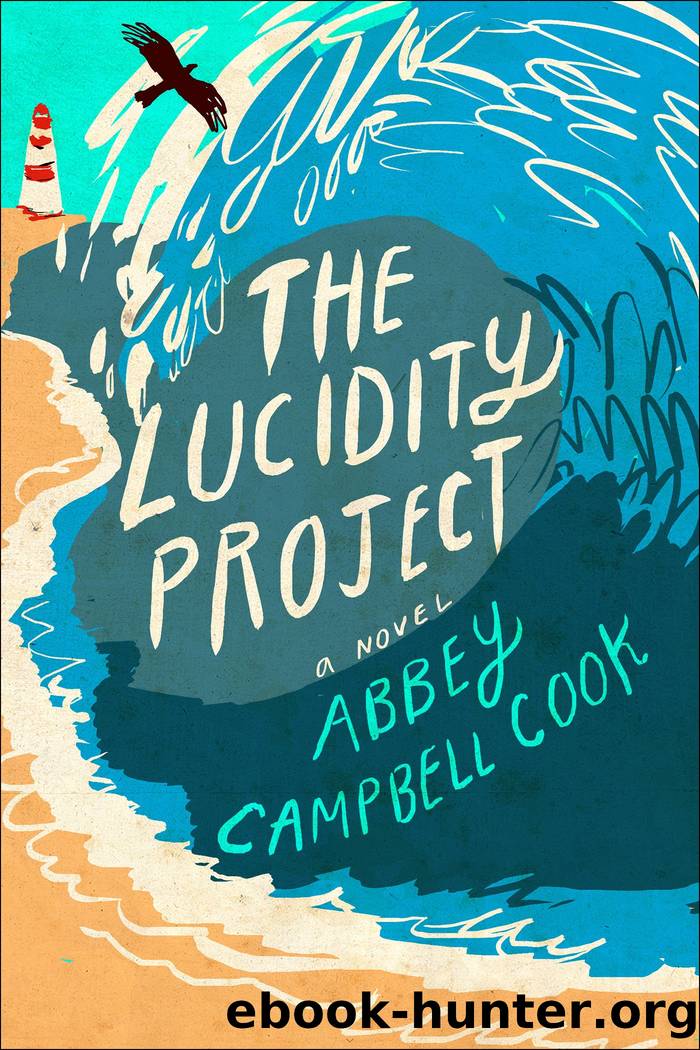 The Lucidity Project by Abbey Campbell Book