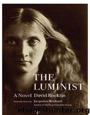 The Luminist by David Rocklin