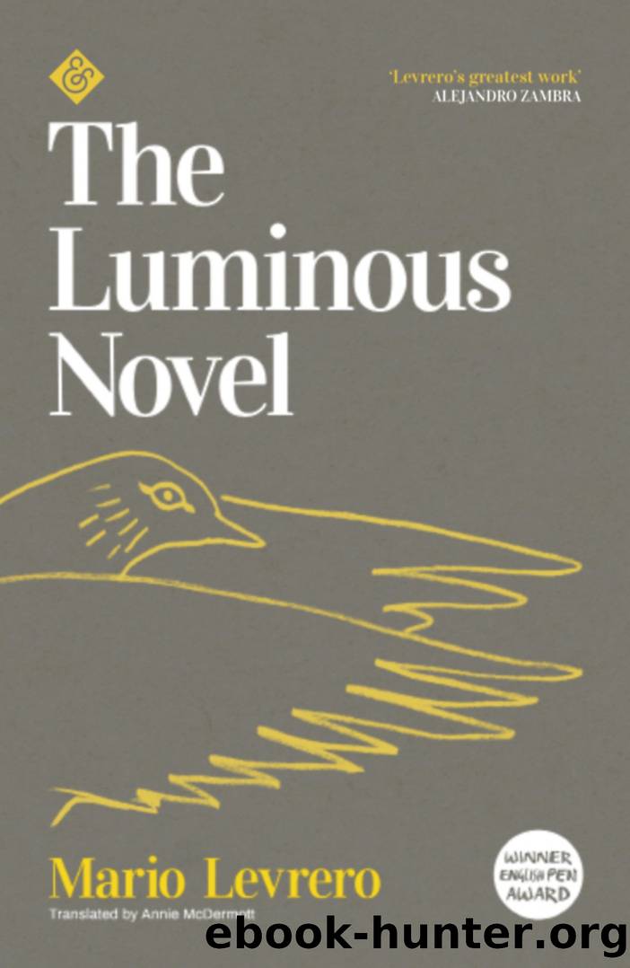 The Luminous Novel by MARIO LEVRERO