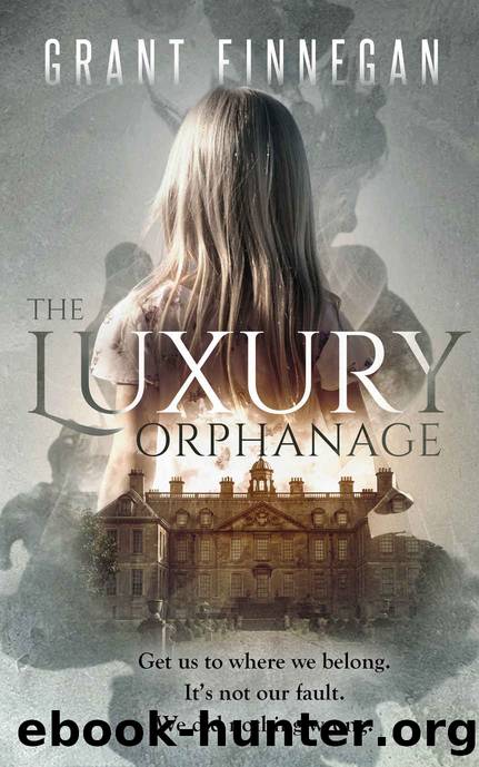 The Luxury Orphanage by Grant Finnegan