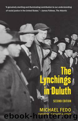 The Lynchings in Duluth: Second Edition by Michael Fedo