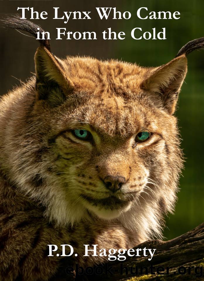 The Lynx Who Came in From the Cold (Hyperion and Meagan Adventures Book 1) by Haggerty P.D