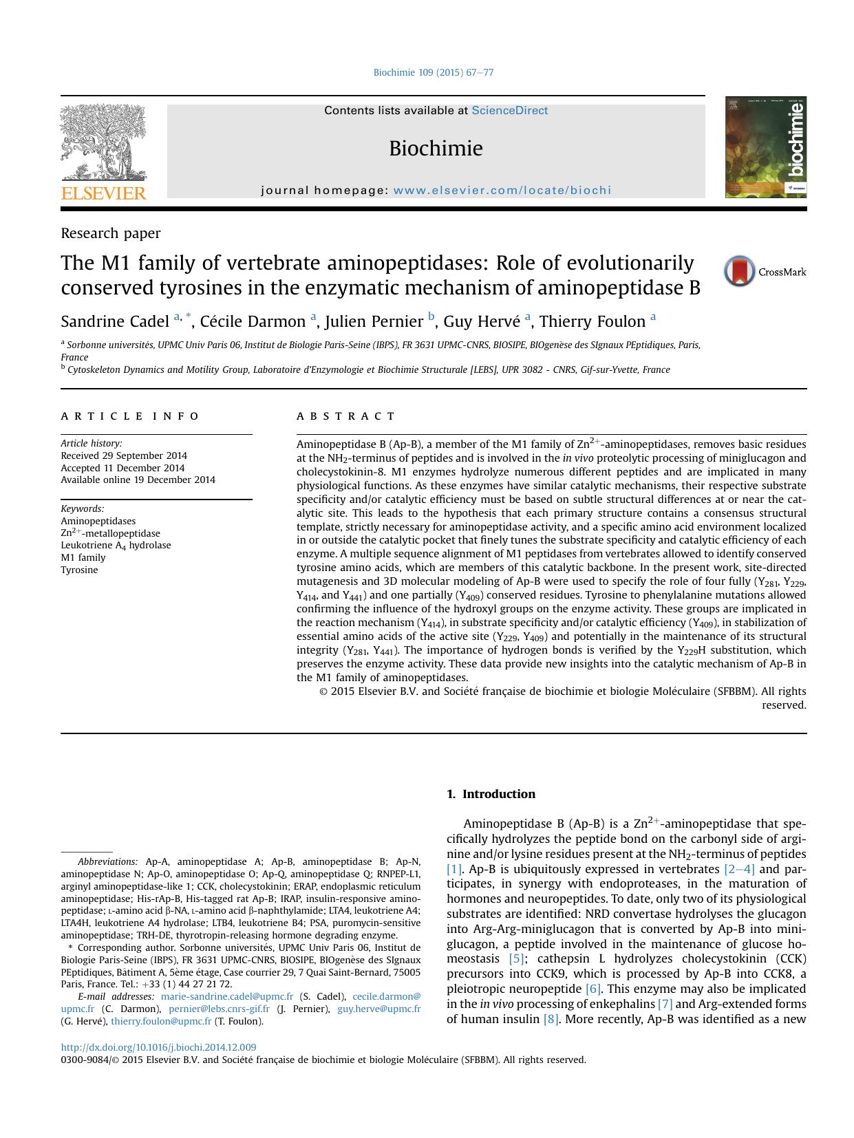 The M1 family of vertebrate aminopeptidases: Role of evolutionarily conserved tyrosines in the enzymatic mechanism of aminopeptidase B by Sandrine Cadel & Cécile Darmon & Julien Pernier & Guy Hervé & Thierry Foulon