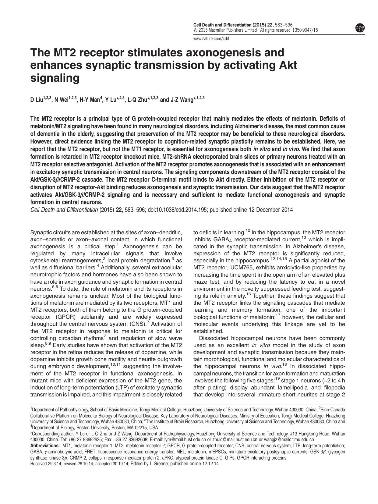 The MT2 receptor stimulates axonogenesis and enhances synaptic transmission by activating Akt signaling by D Liu & N Wei & H-Y Man & Y Lu & L-Q Zhu & J-Z Wang &