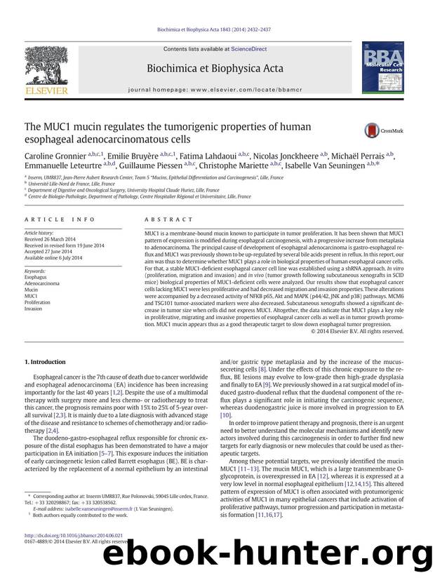The MUC1 mucin regulates the tumorigenic properties of human esophageal adenocarcinomatous cells by unknow