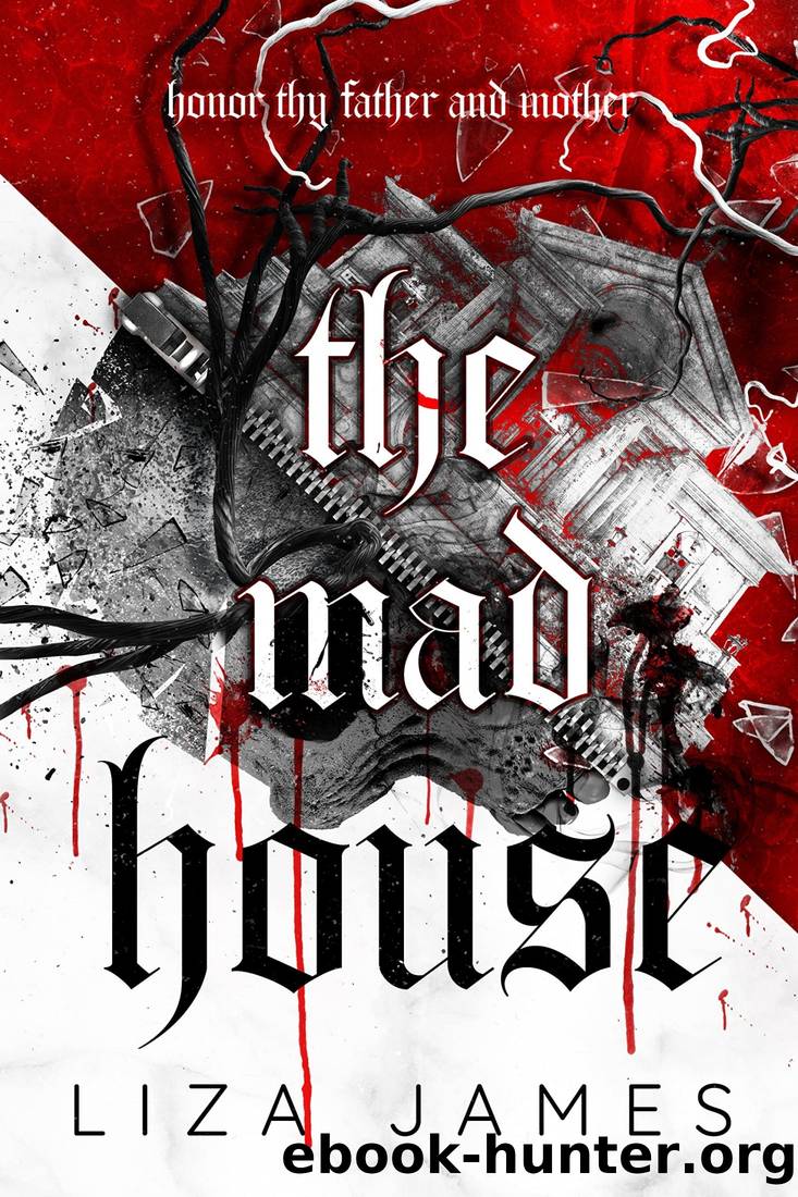 The Mad House by Liza James