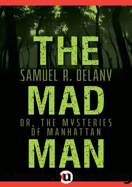 The Mad Man by Delany Samuel R