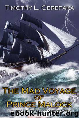 The Mad Voyage of Prince Malock by Timothy L. Cerepaka
